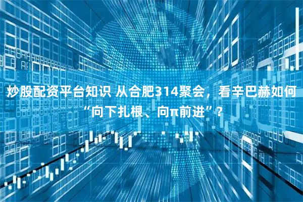 炒股配资平台知识 从合肥314聚会，看辛巴赫如何“向下扎根、向π前进”？